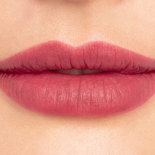 Le Matte Stylo - Aster