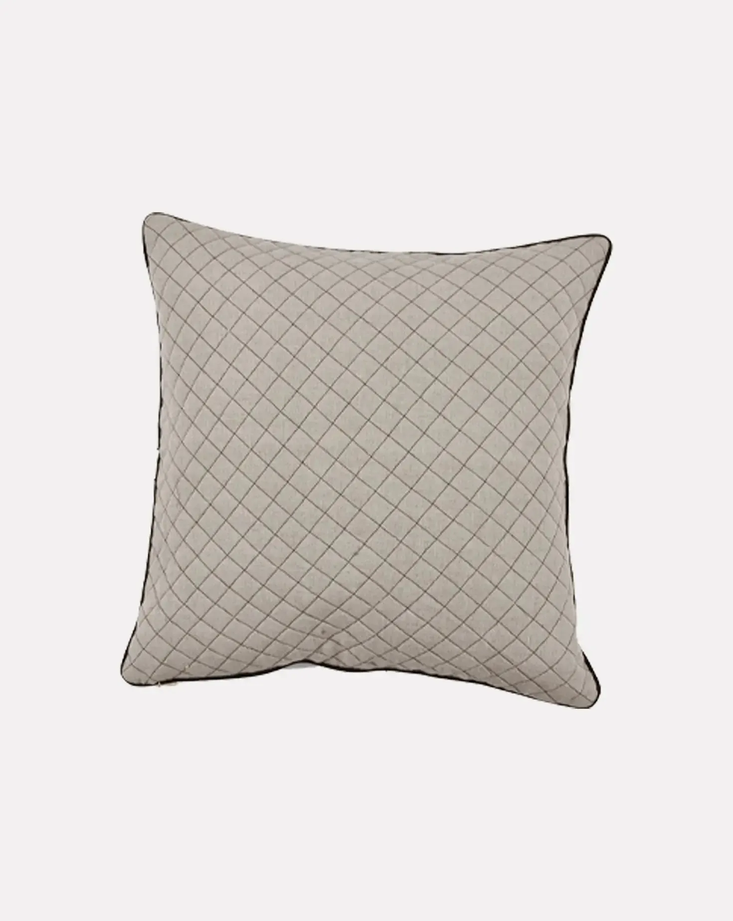 Set of 2 Cheetah Roaming Cotton Cushion